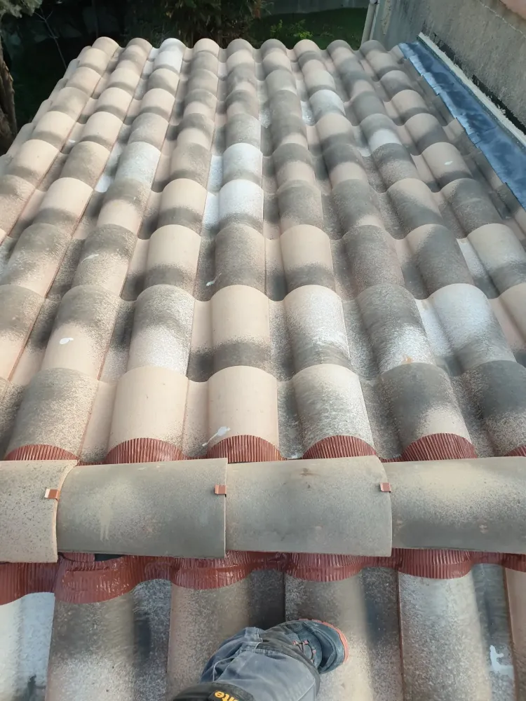 couverture de toiture (15)