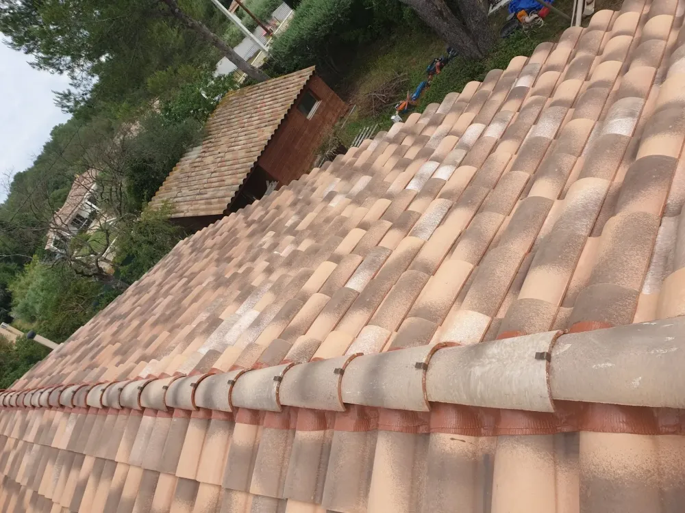 couverture de toiture (20)