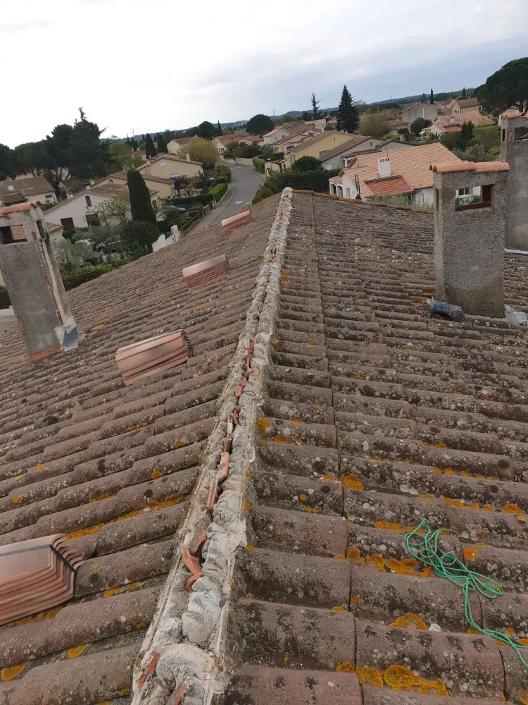 couverture de toiture (37)