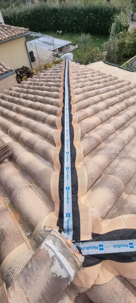 couverture de toiture (40)