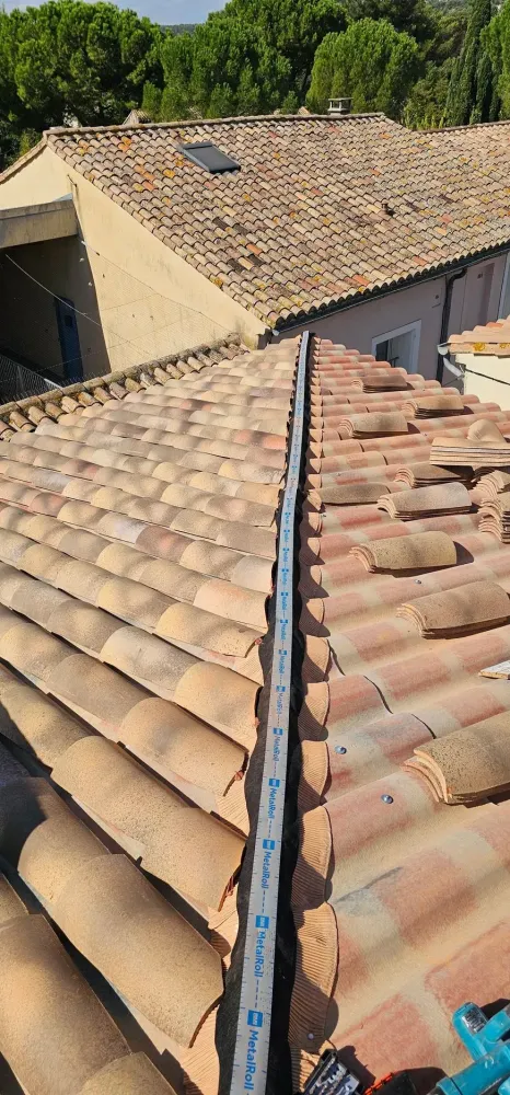 couverture de toiture (45)