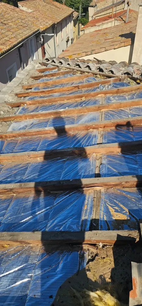 couverture de toiture (50)